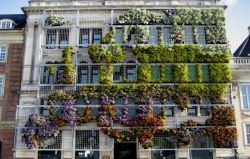 agirlnamedally:  urbanination:  This living wall in Copenhagen outlines a map of Europe.   This is going on the must-see list