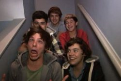 tommothetease:  1d-stop-play-rewind:  letmalikyolips:  tryingtotell:  Crying because they were still on stairs at the Olympics.    ^^ THIS!1!  I clicked the gif expecting Louis to make a face like that. Then I realized. THE BOYS ON THE STAIRS. 
