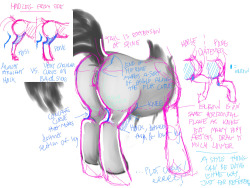 Redlined a thing for zirbronium and thought other people might find it helpful too, since folks are always asking me about stuff like this. pony vs. horse comparison, basically. Even if one doesn&rsquo;t apply much actual equine anatomy to their ponies,