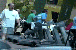 stuffgoingviral:  And he was never seen again in the Gym!