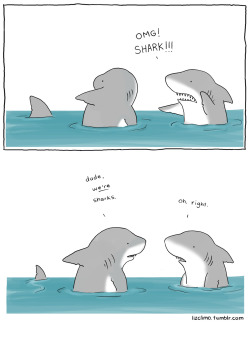 lizclimo:  happy shark week  
