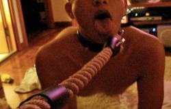 dogslaveasians:  Love the rope..love the tongue…love the cheap dog pose. 