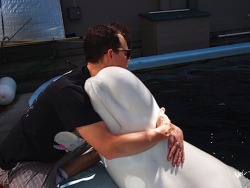 allmybadintentions:  A picture of Mark Hoppus hugging a beluga whale for when you’re feeling sad. 