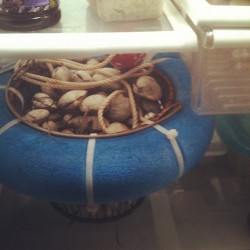 Open the fridge and this is what i see? Dafuk #dafuck #shellfish #woah #ok #ocean  (Taken with Instagram)