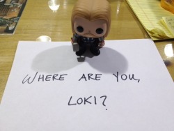 tomhiddlesbitch:  cancerously:  superblys:  anti-shipper:  the-greatest-companion:  castaneacreations:  thegoodlannister:  schwarzweis:  thegoodlannister:  My sister got me a Thor bobblehead. This is what I did with it.  since I’m a serious grown adult,