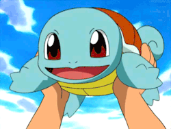Everyone needs adorabe Squirtle on their dash!