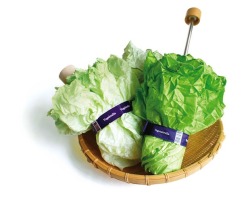 jainz:  mydickisthealpha:  redventure:  tired-and-mean:   Vegetabrella by Yurie Mano This is pretty rad-ish, but lettuce not get too excited, the umbrella will allow your head to romaine dry but it’s not very tasty. I know the puns are corny but I