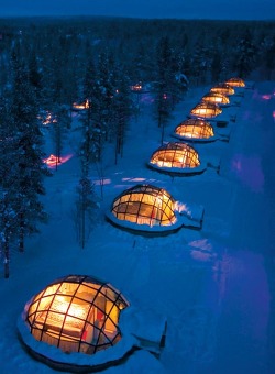kirstyrebecca:   renting a glass igloo in Finland to sleep under the northern lights  yes pls! 