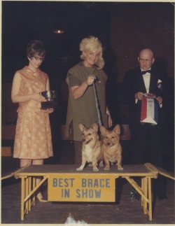 burlyqnell:   Irma The Body    (aka. Mary Goodneighbor) Vintage 60&rsquo;s-era 4x5 photo.. During the latter-part of her Burly-Q career, Irma (center) bred and showed Welsh Corgi dogs. She is shown here with a pair of her Corgis that won &lsquo;Best