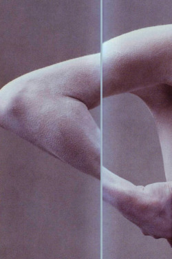 1-9-9-1:  Detail Of A Steven Meisel [deatail of Malgosia Bela’s right arm from Steven Meisel’s Couture editorial] 