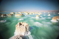 thescienceofreality:  Salt formations in the Dead Sea…&ldquo;The Dead Sea is a salt lake between Palestine and Israel to the west and Jordan to the east. At 420 metres below sea level, its shores are the lowest point on Earth that are on dry land. With