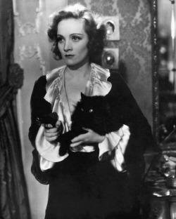 peoplewithcats:  Marlene Dietrich 