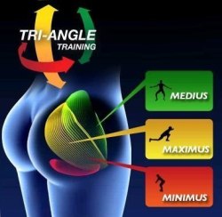 fitness-vitality:  wishing-4-perfection:  Exercises that activate each buttocks muscle :  MEDIUS - Jumping Jacks  MAXIMUS - Deep Lunges  MINIMUS - Squats Honestly, you need NOTHING else to get the butt you dream of, just these three exercises!  dat