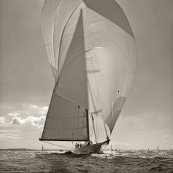 The beauty of sail.