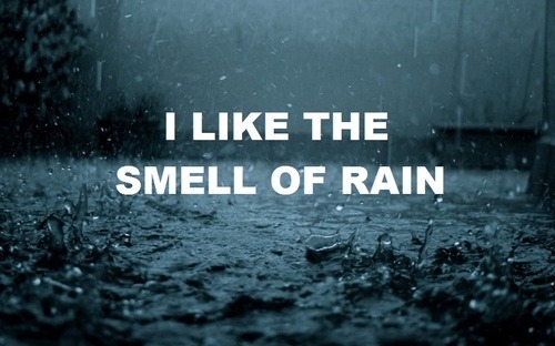 Rain quotes