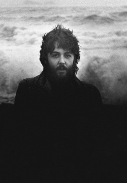 nineteensixties:  sillylovesongs:   iamthebeatles:   confuse-a-cat-ltd:   beatles-and-stuff:   McCartney   You spelled McBeardy wrong   nahhh, its more like McBeasty   actually his name is sex   sex mccartney 