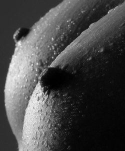 Closeup breasts