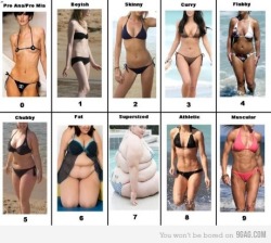 Women body types