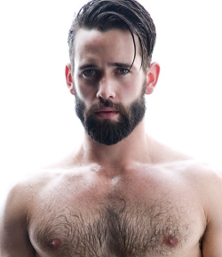 beardedandburly:  Levi Jackson: Sexy little bear Jason Sokody [view all posts of Levi] [Follow BeardedandBurly] 