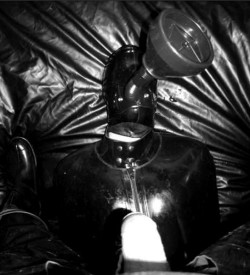 bootedray:  Rubber Piss Puppy 
