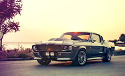 jbheng:  1967 Ford Mustang Shelby Cobra GT500 Eleanor  Fuuuuuuuuck