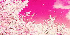 Hyouka scenery | Cherry blossoms  