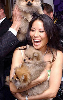 gynocieum:  LUCY LIU IS COVERED IN PUPPIES 