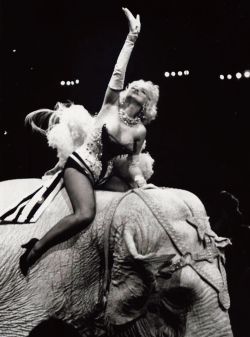 Marilyn Monroe atop an elephant, 1955.