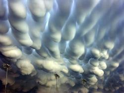 sassyboyfriend:  pullmebacktoearth: These “mammatus clouds” were photographed above Hastings, Nebraska, after a destructive thunderstorm in May 2005. Although their formation is not completely understood, these rare clouds usually develop at the base