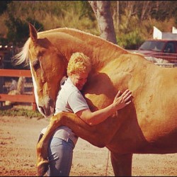 Horse/human love. #animals #hugs #love #horses #aww (Taken with Instagram)
