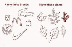 seerialmental:  emigrantenmonolog:     this slaps you in the face with reality    this shit is so fucking stupid because the leaves all look pretty similar while the logos are very distinct, even to the point of including letters from the brand. it’s