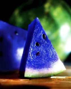 itscruellabitch:  coolstoryrob:  meeeeeeeeeeeeeeeeeeerlin:  serionsly:  voyagevisuelle:  This a Moonmelon, scientifically knows as asidus. This fruit grows in some parts of Japan, and is known for its vibrant blue color. What you probably don’t know