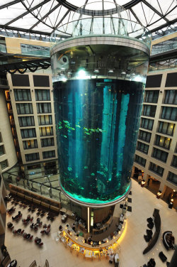 escapekit:  Radisson Blu Hotel, Berlin At first glance this may look like just another luxury hotel but once you enter it, you’ll discover the worlds largest cylindrical aquarium. 82-feet high in the heart of the hotel’s lobby atrium the AquaDom
