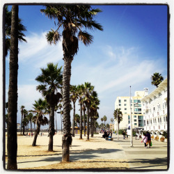 heather-in-heels:  It’s a gorgeous afternoon in Santa Monica today! 