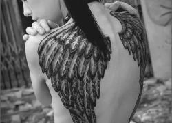 rustyness:  Wings ♥ 