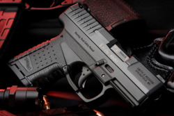 stayzeroed:  Walther PPS