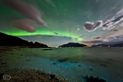 jtotheizzoe:  Auroras, and Noctilucales, and Oxygen Frank Olsen captured a magical shot on October 7, 2012. There’s two phenomena in this shot, both produced via oxygen. The aurora borealis is produced by energy from the sun exciting (and eventually