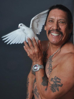 note-a-bear:  doom-funk:  If you’re ever feeling down, just remember that this photo exists.  Danny Trejo is a goddamned blessing 