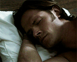 angelshawke:   AU SERIES: FRIEND OF MINE - PART 12Sam realizes he really needs his own place to live. As soon as possible.&ldquo;Oh God, Cas!&rdquo;&ldquo;Dean… I’m close…&rdquo; Sam: Fuck my life.  