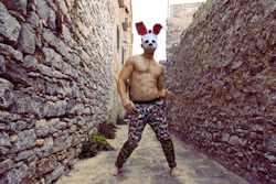 ROCCO - the Sicilian Hare ♥  AlexanderGuerra.com - 2012 *Follow me on Instagram &amp; Twitter @PhotogAGuerra