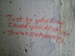dancingphoenix:  Found some hardcore relatable graffiti on my bridge today.  I love ALL of you