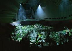  pierre huyghe - a forest of lines, 24h installation at sydney opera house, 2008 