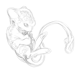 neekko:  grimchild:  Mew and Mewtwo sketches I did the other day.  Probably wont finish them, but I like the idea that Mew is like an embryo that developed when cloned into Mewtwo.  As if they didn’t get the gene sequence right and it kept growing. 