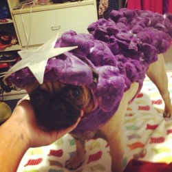 acid-washed-thoughts:  my Lumpy Space Princess :’3 (Taken with Instagram) 