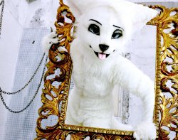 OUT frame - by RadyWolf Japanese fursuits seem to almost always be super adorable. And Rady makes some of the cutest i&rsquo;ve seen &lt;3