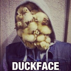 Guys, I can&rsquo;t even. 😂 #duckface
