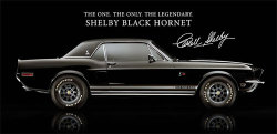 mustangsteve:  “Black Hornet” The only authorized replica of Carroll Shelby’s one-off “Green Hornet” prototype, which featured a fuel injected 428 CJ engine and an independent rear suspension. Very awesome car. Revolutionary in its time.
