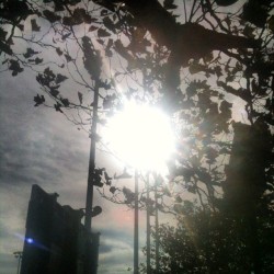 Sullen Saturday #sullen #rays #sunshine #maritime #massmaritime #massmaritimeacademy #fall #2012 #followback