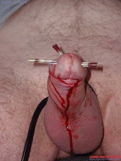 sweet-bette: pig-daddy:  PERFECT!  best use for a tiny cock! 