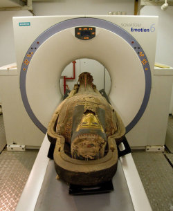 snowyarcherprince:  kingchestnutsroastinonanopenfire:  Sir we got the MRI scan report back in… the good news is you don’t have cancer… the bad news is we think you’ve been dead for a few years …  